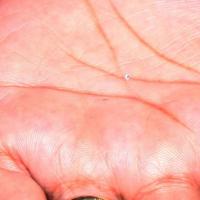 2011-08aug-19-nithyananda-photo-02d-swamiji-moon-rock-materialization_CMP_WM